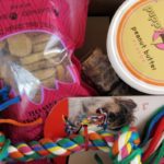 Reasons to consider barkbox dog subscription